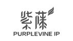 purple-vine